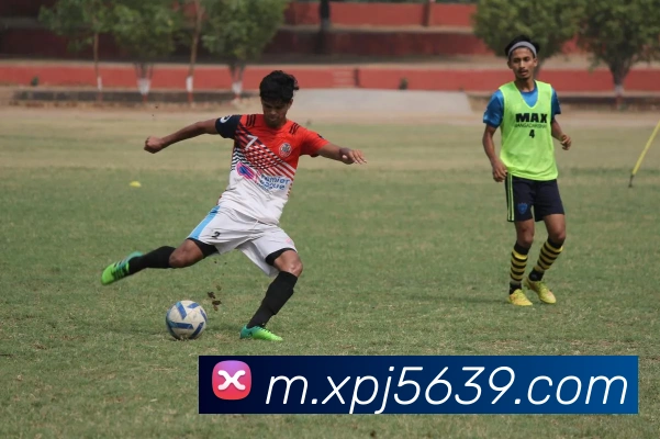 澳门新葡京入口平台生态图